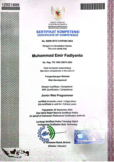 Junior Web Programmer